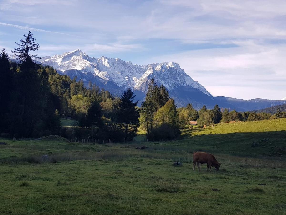 Appartement Ferienwohnung Alpi